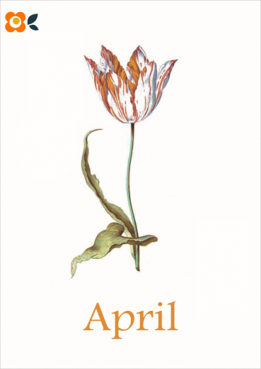 Postkarte 04/ April Liliput, Blumen