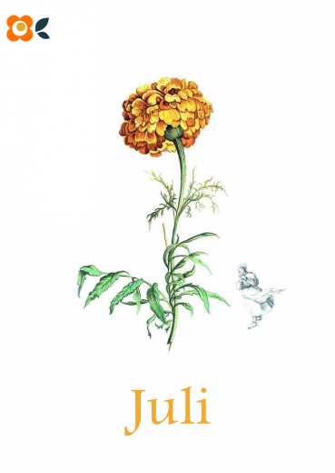 Postkarte 07/ Juli Liliput, Blumen